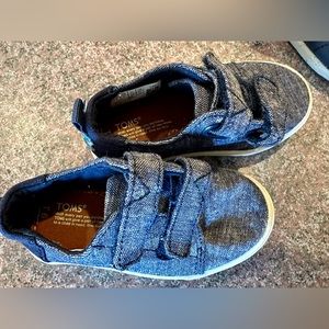 Toms toddler boy velcro shoes